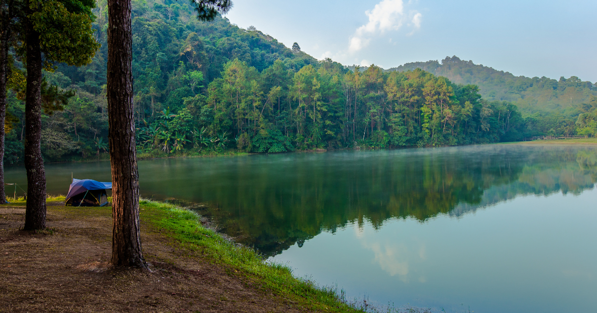 Wayanad