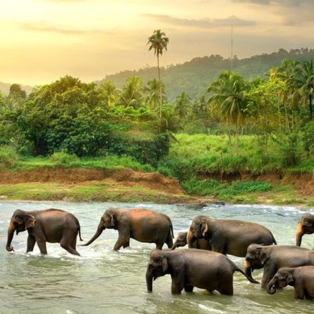 Sri Lanka